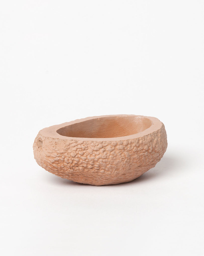 Avocado Planter - Founders & Followers - Chen Chen & Kai Williams