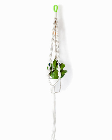 Macrame Plant Hangers in Colorblock Hawai - Founders & Followers - Cold Picnic