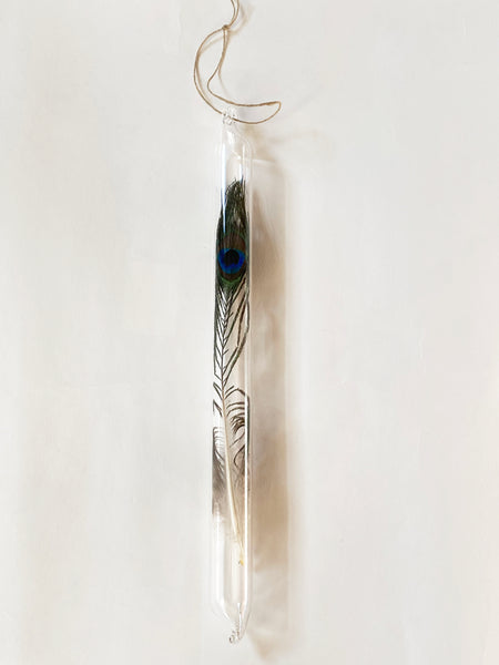 Encapsulation IV (peacock feather)