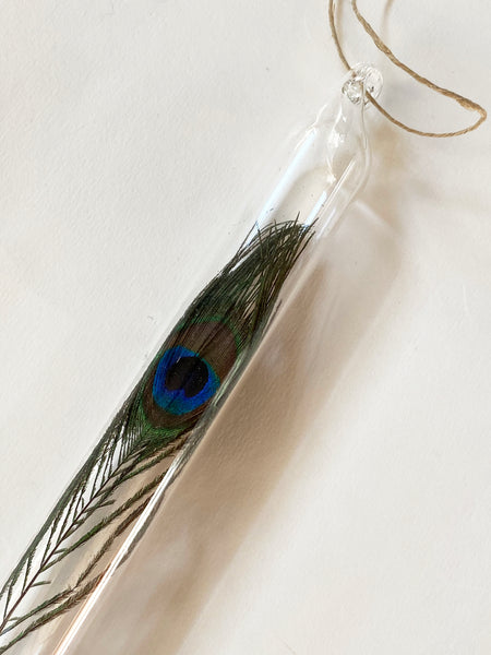 Encapsulation IV (peacock feather)