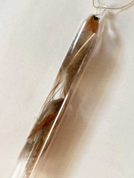 Encapsulation VIII (brown feathers)