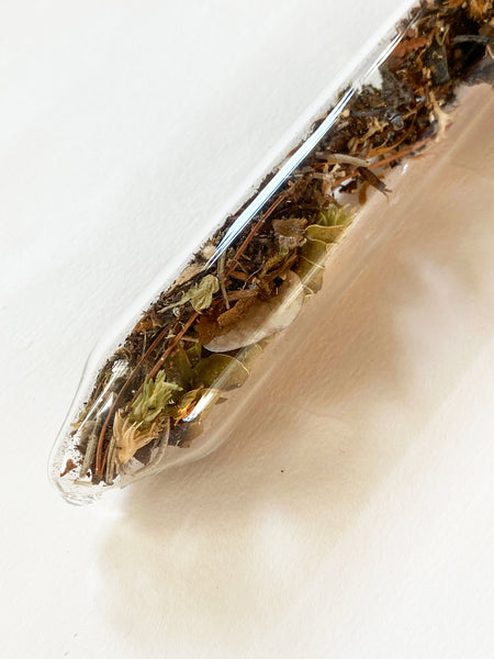 Encapsulation IX (pot pourri)