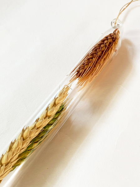 Encapsulation VI (dried wheat)