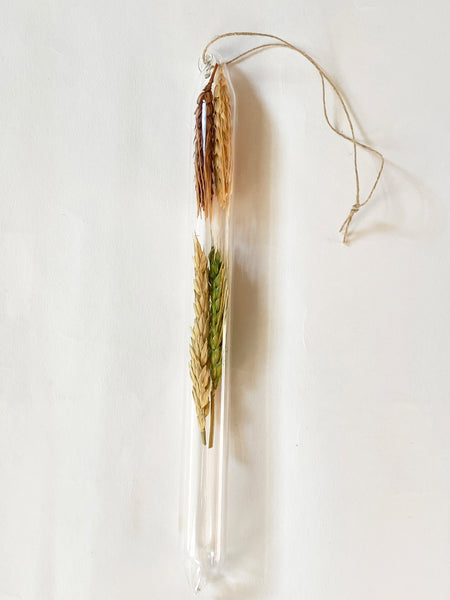 Encapsulation VI (dried wheat)