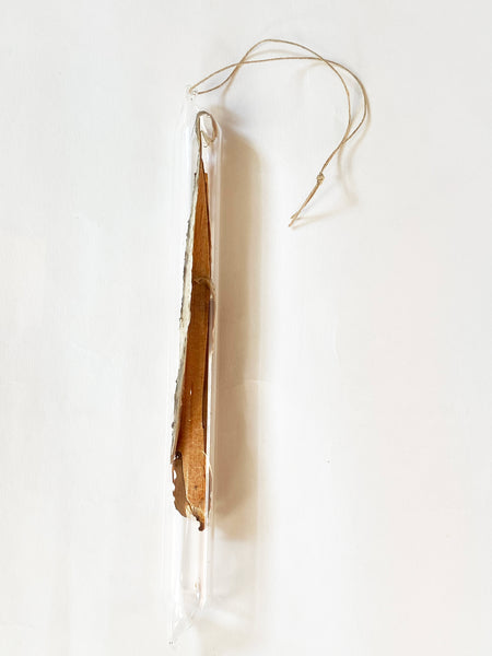 Encapsulation VII (bark)