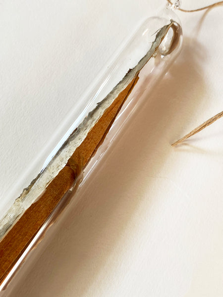 Encapsulation VII (bark)