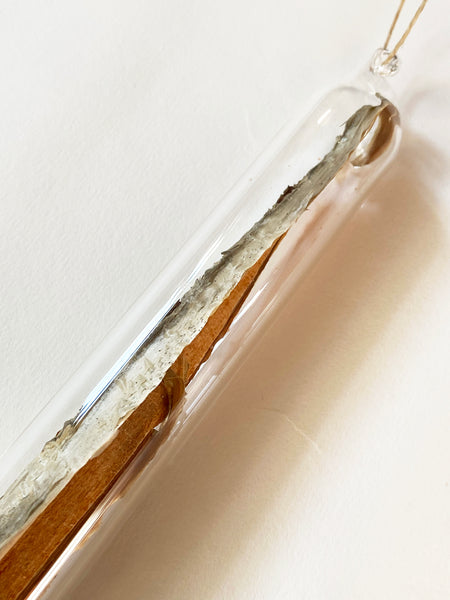 Encapsulation VII (bark)