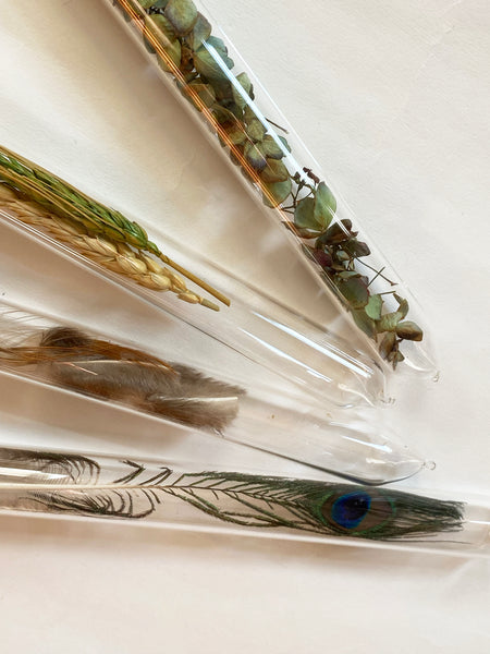 Encapsulation VI (dried wheat)