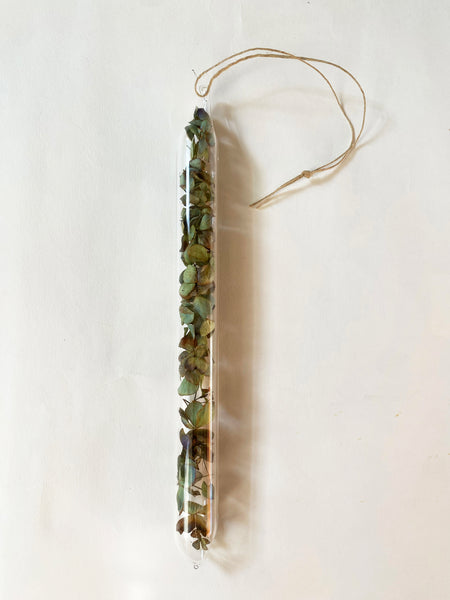 Encapsulation III (tiny leaves)