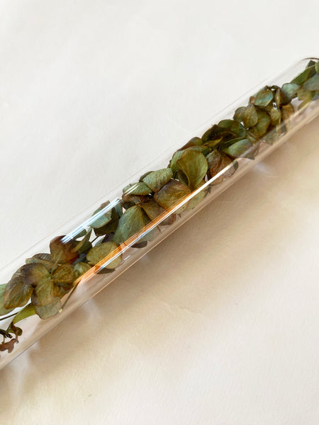 Encapsulation III (tiny leaves)