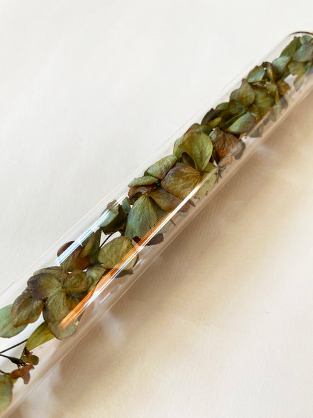 Encapsulation III (tiny leaves)