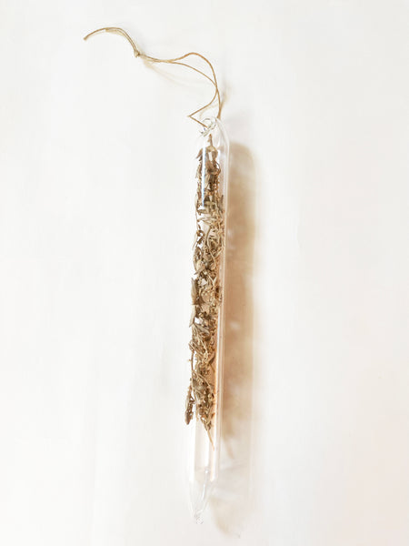 Encapsulation X (dried herbs)