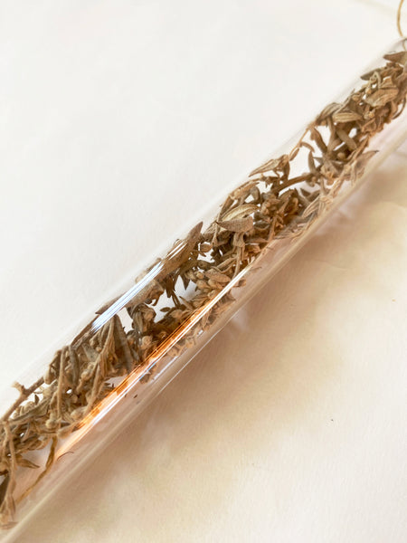 Encapsulation X (dried herbs)