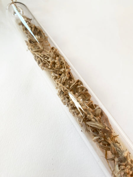 Encapsulation X (dried herbs)