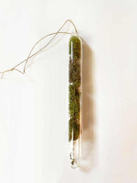 Encapsulation I (moss)