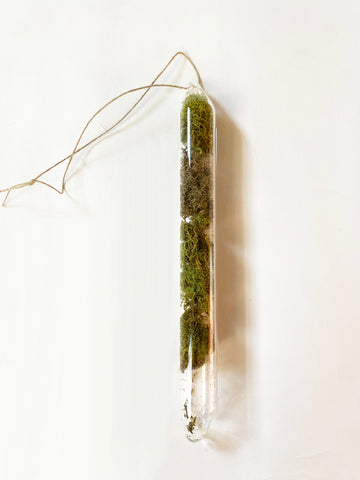 Encapsulation I (moss)