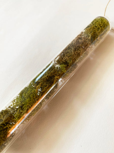 Encapsulation I (moss)