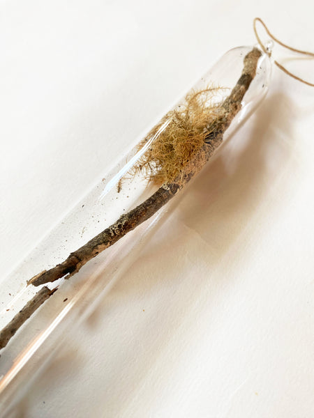 Encapsulation II (wood twigs)