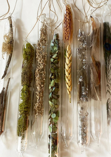 Encapsulation X (dried herbs)