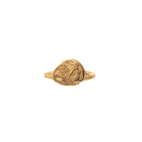 Penumbra signet ring in brass