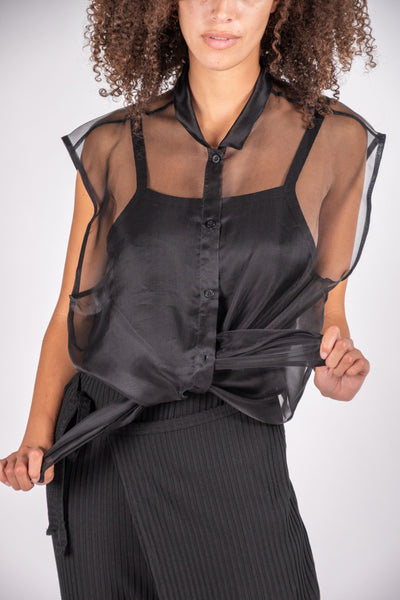 Drusilia silk organza top